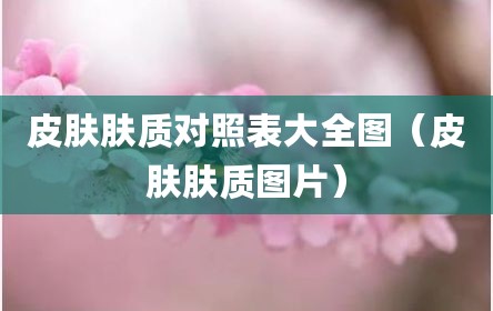 皮肤肤质对照表大全图（皮肤肤质图片）