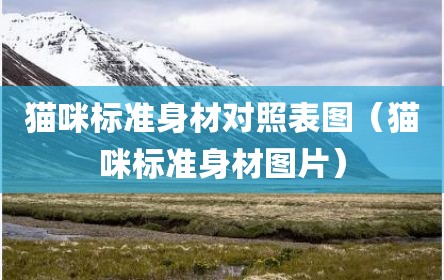 猫咪标准身材对照表图（猫咪标准身材图片）
