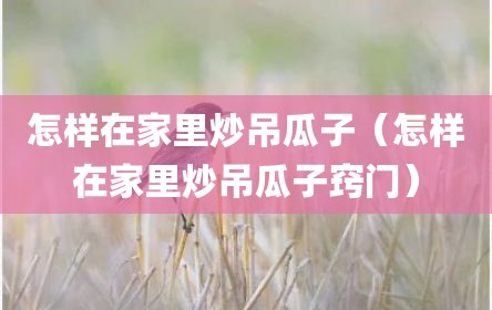 怎样在家里炒吊瓜子（怎样在家里炒吊瓜子窍门）