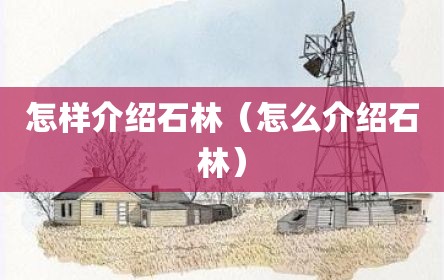 怎样介绍石林（怎么介绍石林）
