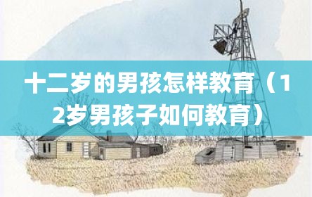 十二岁的男孩怎样教育（12岁男孩子如何教育）