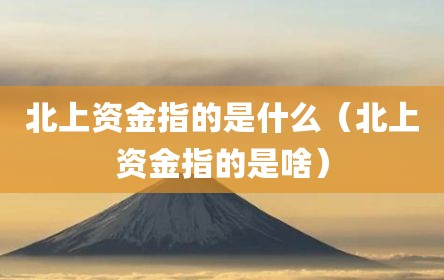 北上资金指的是什么（北上资金指的是啥）