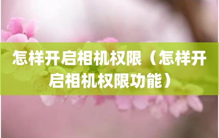 怎样开启相机权限（怎样开启相机权限功能）