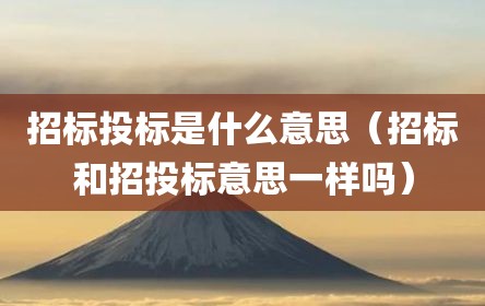 招标投标是什么意思（招标和招投标意思一样吗）