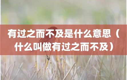 有过之而不及是什么意思（什么叫做有过之而不及）