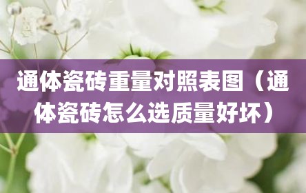 通体瓷砖重量对照表图（通体瓷砖怎么选质量好坏）