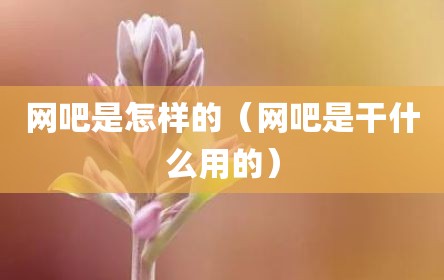 网吧是怎样的（网吧是干什么用的）