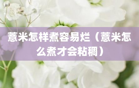 薏米怎样煮容易烂（薏米怎么煮才会粘稠）