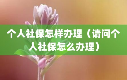 个人社保怎样办理（请问个人社保怎么办理）