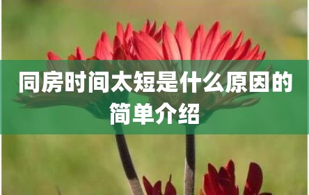 同房时间太短是什么原因的简单介绍