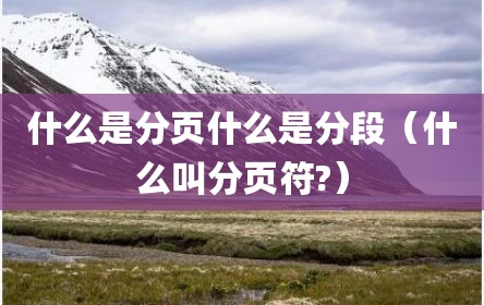 什么是分页什么是分段（什么叫分页符?）