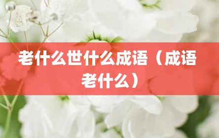 老什么世什么成语（成语 老什么）