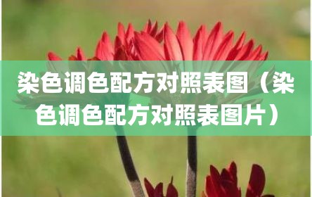 染色调色配方对照表图（染色调色配方对照表图片）