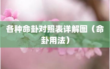 各种命卦对照表详解图（命卦用法）