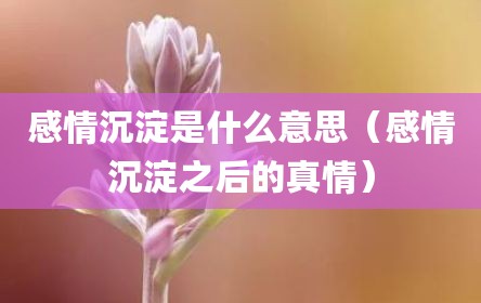 感情沉淀是什么意思（感情沉淀之后的真情）