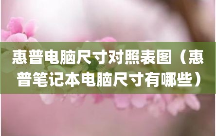惠普电脑尺寸对照表图（惠普笔记本电脑尺寸有哪些）