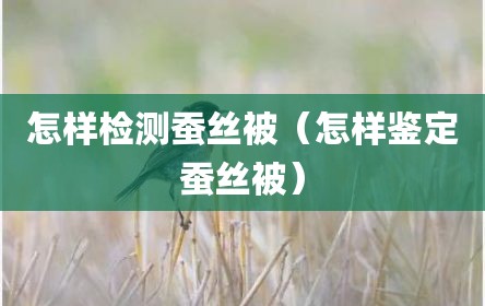 怎样检测蚕丝被（怎样鉴定蚕丝被）