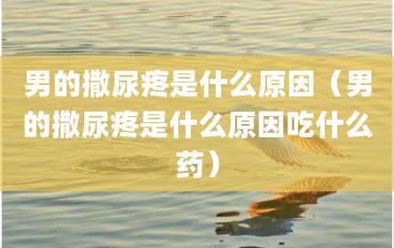 男的撒尿疼是什么原因（男的撒尿疼是什么原因吃什么药）