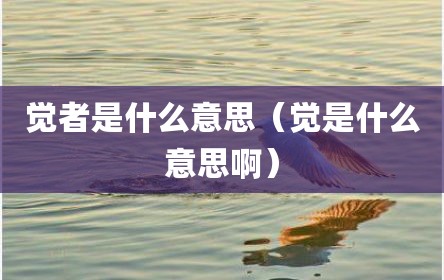 觉者是什么意思（觉是什么意思啊）