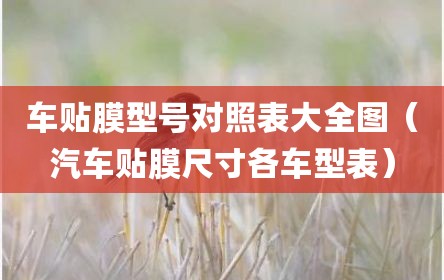 车贴膜型号对照表大全图（汽车贴膜尺寸各车型表）