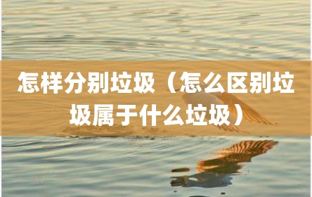 怎样分别垃圾（怎么区别垃圾属于什么垃圾）