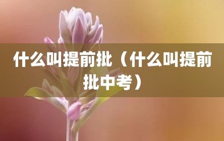 什么叫提前批（什么叫提前批中考）