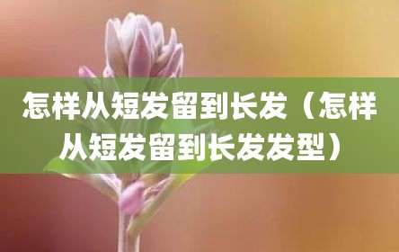 怎样从短发留到长发（怎样从短发留到长发发型）