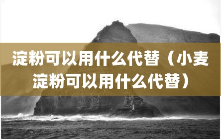 淀粉可以用什么代替（小麦淀粉可以用什么代替）