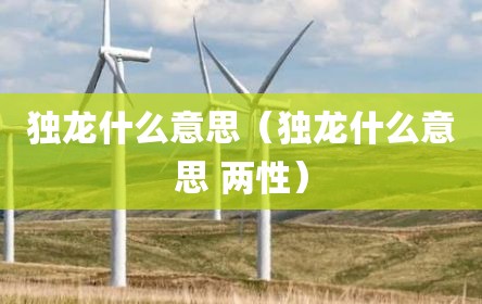 独龙什么意思（独龙什么意思 两性）