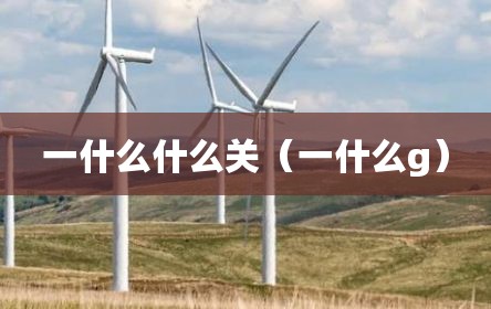 一什么什么关（一什么g）