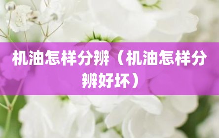 机油怎样分辨（机油怎样分辨好坏）