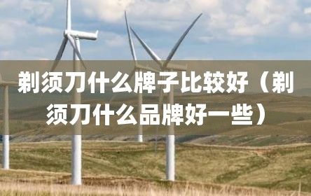 剃须刀什么牌子比较好（剃须刀什么品牌好一些）