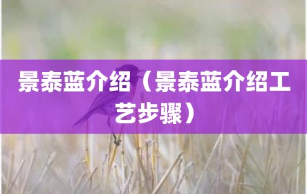 景泰蓝介绍（景泰蓝介绍工艺步骤）