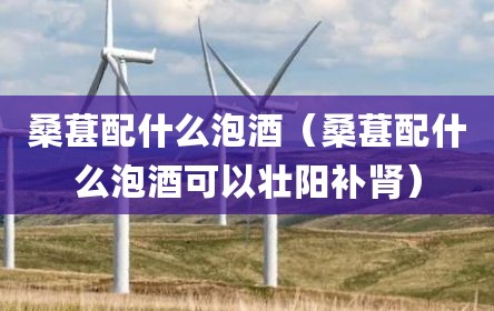 桑葚配什么泡酒（桑葚配什么泡酒可以壮阳补肾）