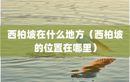 西柏坡在什么地方（西柏坡的位置在哪里）