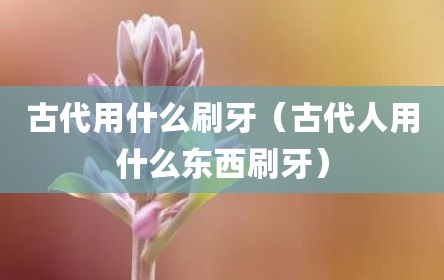 古代用什么刷牙（古代人用什么东西刷牙）