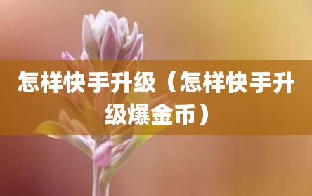 怎样快手升级（怎样快手升级爆金币）