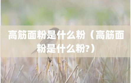 高筋面粉是什么粉（高筋面粉是什么粉?）