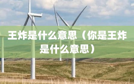 王炸是什么意思（你是王炸是什么意思）