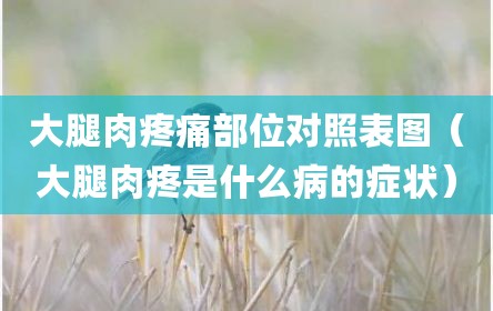 大腿肉疼痛部位对照表图（大腿肉疼是什么病的症状）