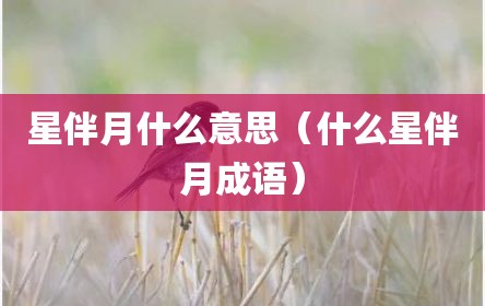星伴月什么意思（什么星伴月成语）