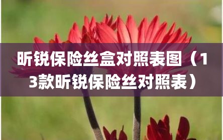 昕锐保险丝盒对照表图（13款昕锐保险丝对照表）