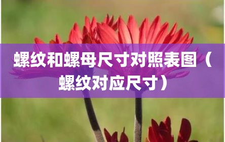 螺纹和螺母尺寸对照表图（螺纹对应尺寸）