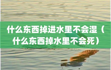 什么东西掉进水里不会湿（什么东西掉水里不会死）