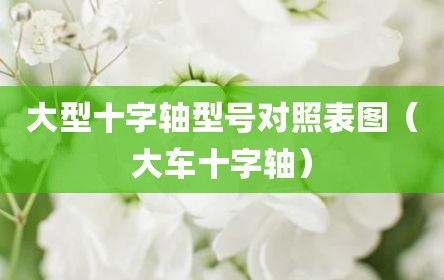 大型十字轴型号对照表图（大车十字轴）