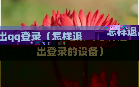 怎样退出qq登录（怎样退出登录的设备）