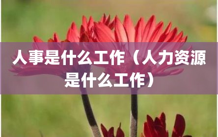 人事是什么工作（人力资源是什么工作）