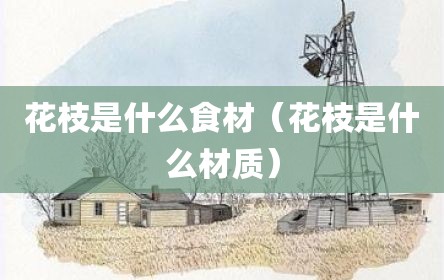 花枝是什么食材（花枝是什么材质）