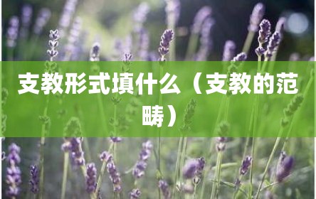 支教形式填什么（支教的范畴）