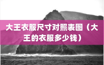 大王衣服尺寸对照表图（大王的衣服多少钱）